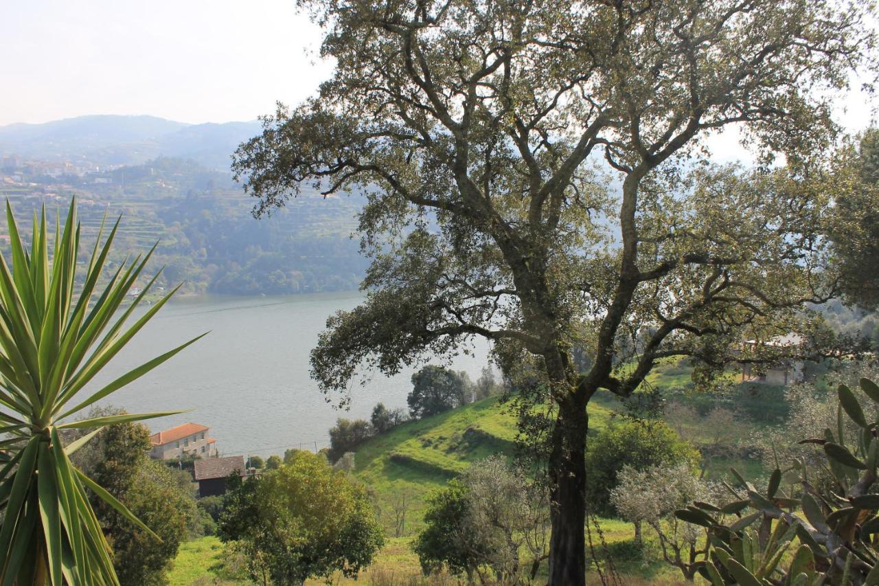 Quinta Das Quintas & Spa Baião Екстериор снимка