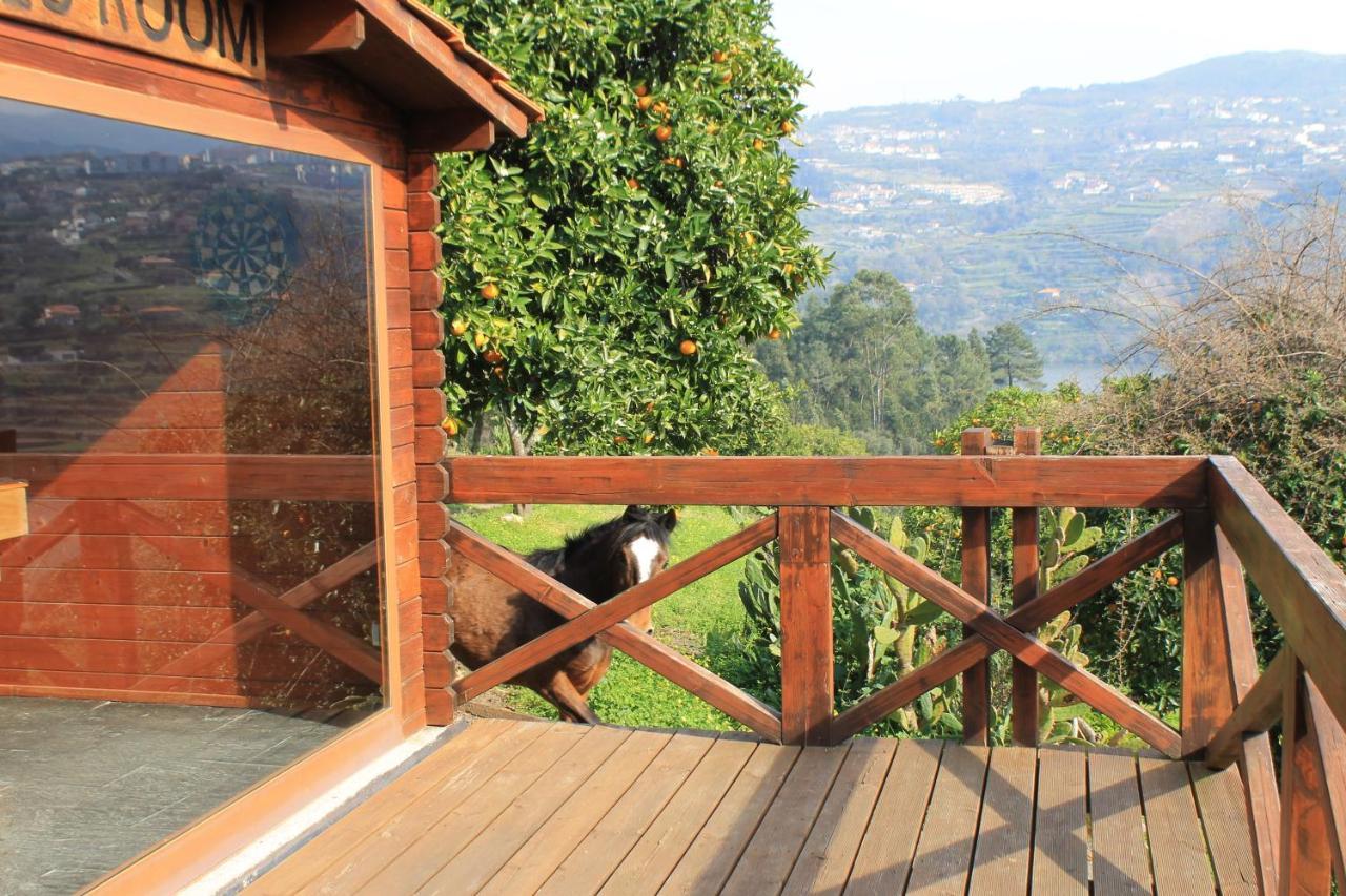 Quinta Das Quintas & Spa Baião Екстериор снимка