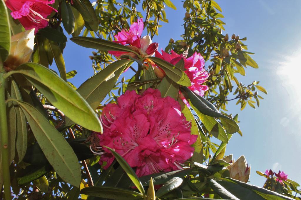 Quinta Das Quintas & Spa Baião Екстериор снимка