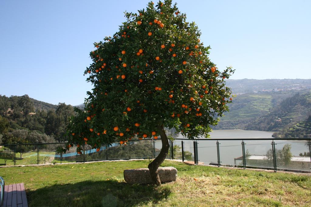 Quinta Das Quintas & Spa Baião Екстериор снимка